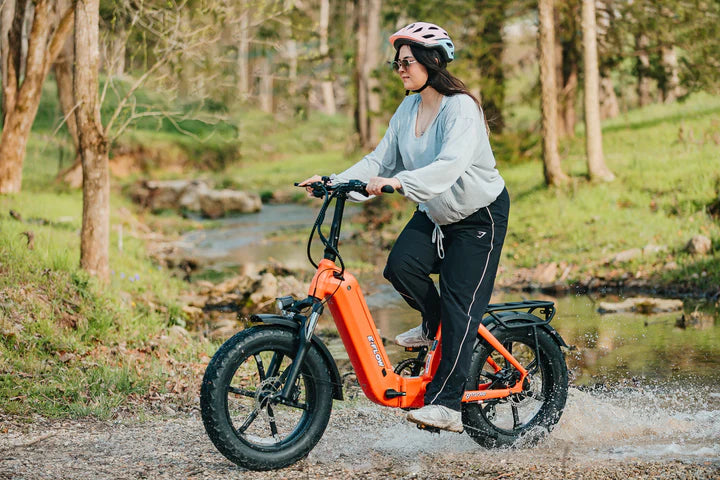 YOUNG Electric E-Flow 750W Folding eBike