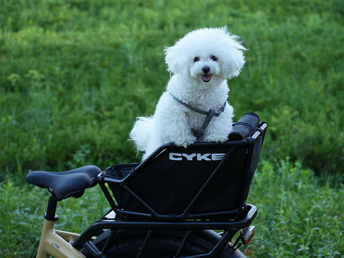 Rear Rack Basket